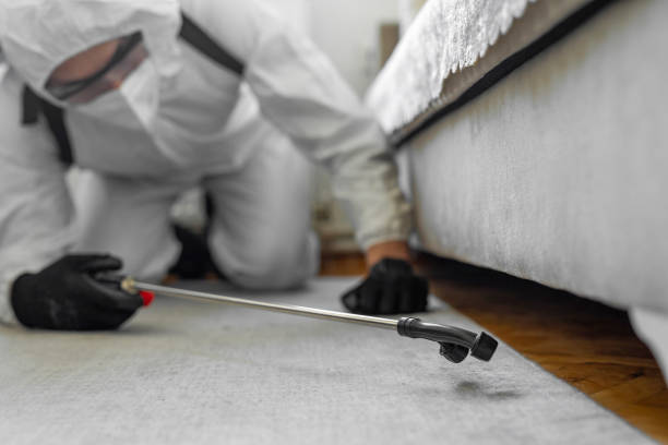 Professional Bed Bug Control technician working in Edgefield, SC