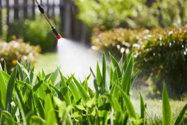 24/7 Emergency Bed Bug Control experts in Edgefield, SC