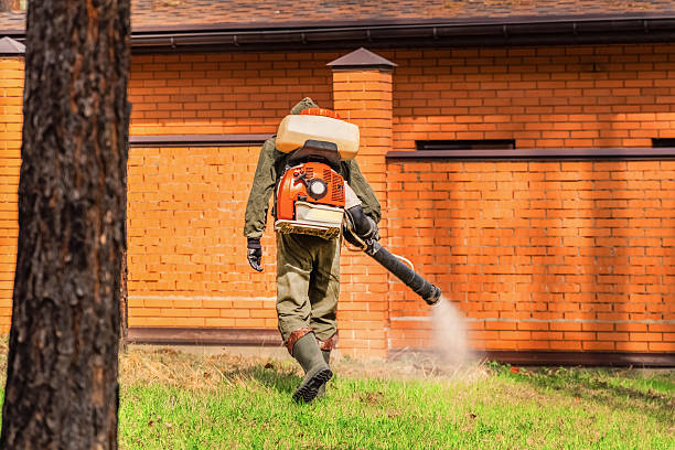 Trusted Rodent Control service in Edgefield, SC - Nex Pest Control